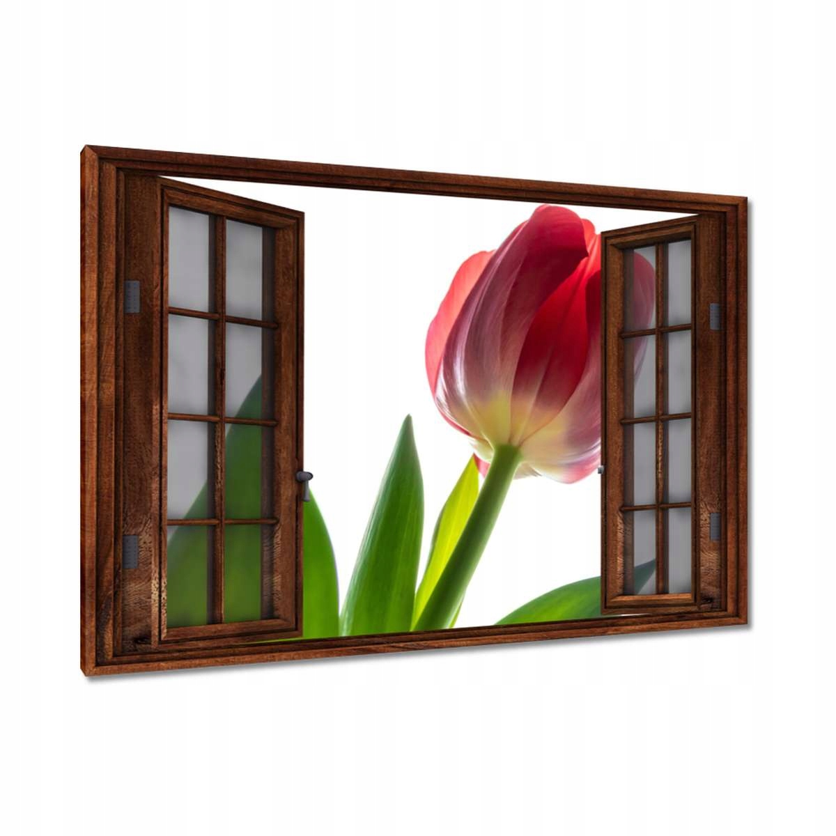 Obrazy 120x80 Červený tulipán Květina