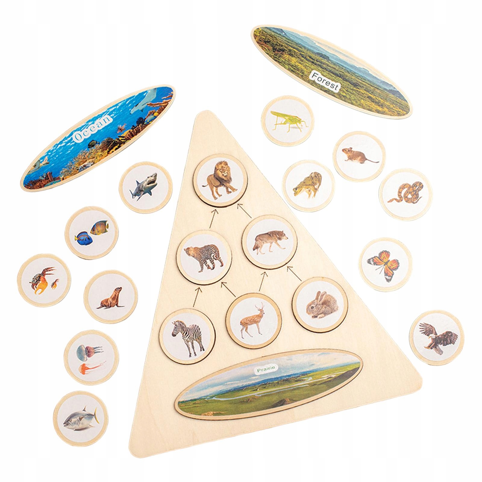  Typ Podstawa + dodatek