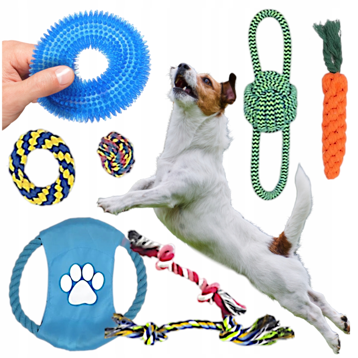 Levně Sada Hračka pro malého psa, 7 doplňků Gumová hračka