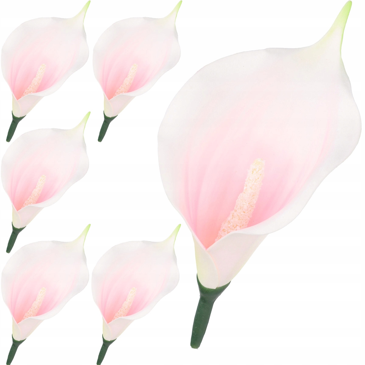 

Kalia Kalie Kala Calla Główka Kwiatowa Wyrobowa