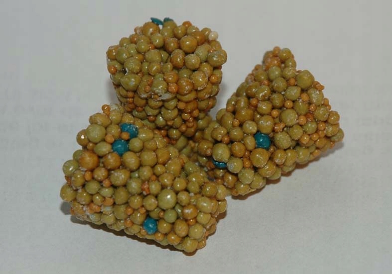 

Koreczki exact 5szt x 7,5gr Nawóz Osmocote 5-6m