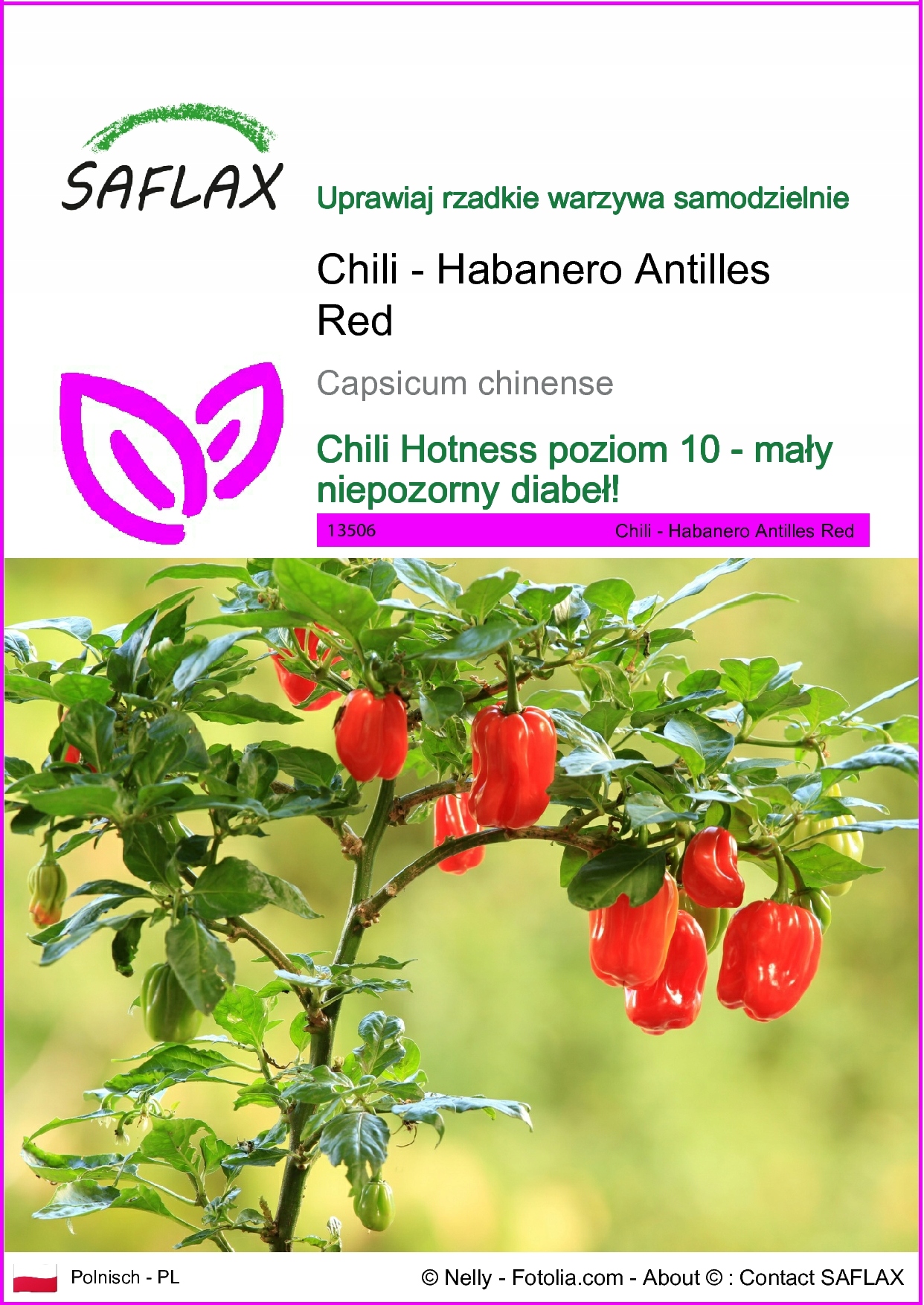 SAFLAX - Chili - Habanero Red - 10 Nasiona - Capsicum