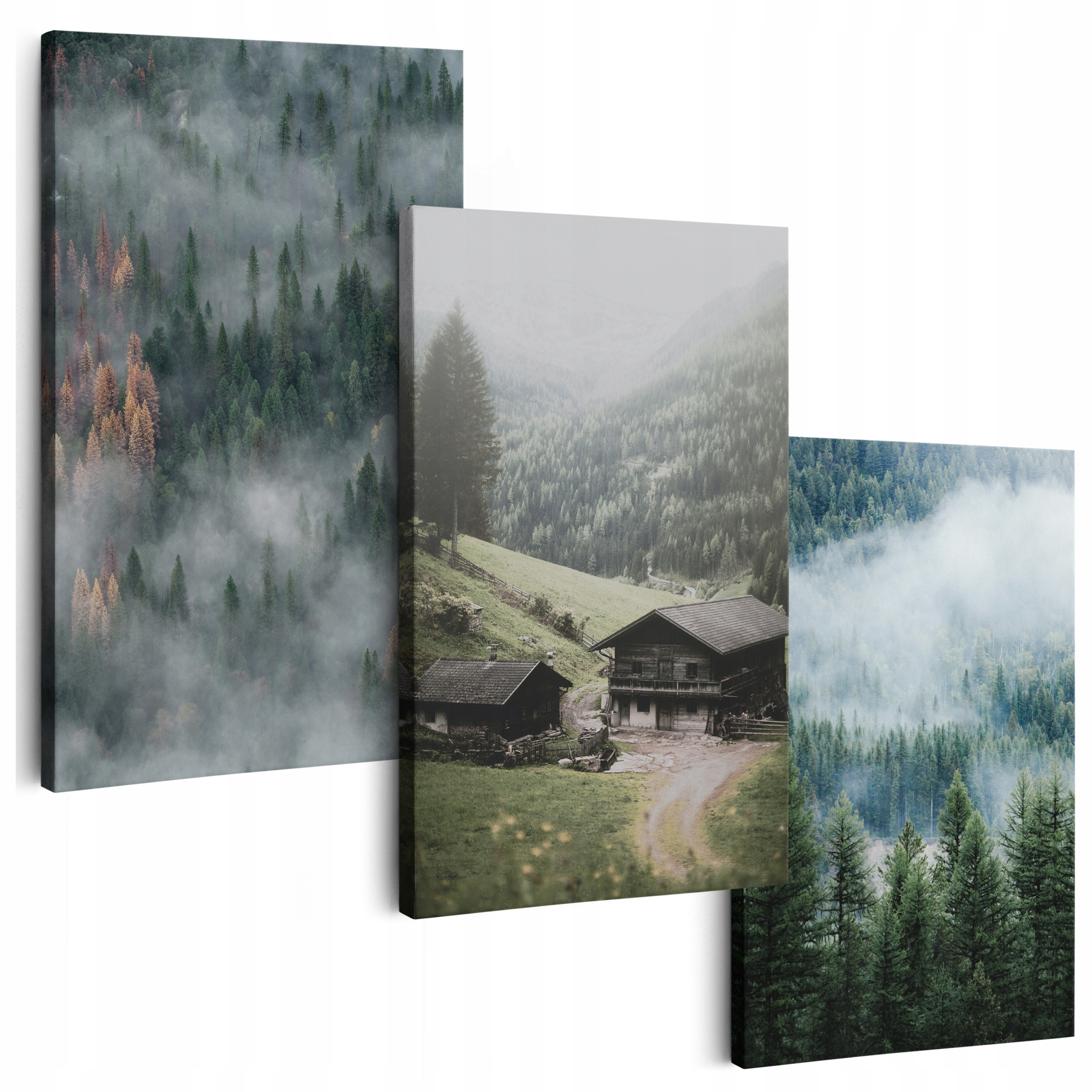 Obraz Na Plátně 180 cm *mnoho vzorů* Obrazy Do Obývacího Pokoje Na Zeď Les Mlha