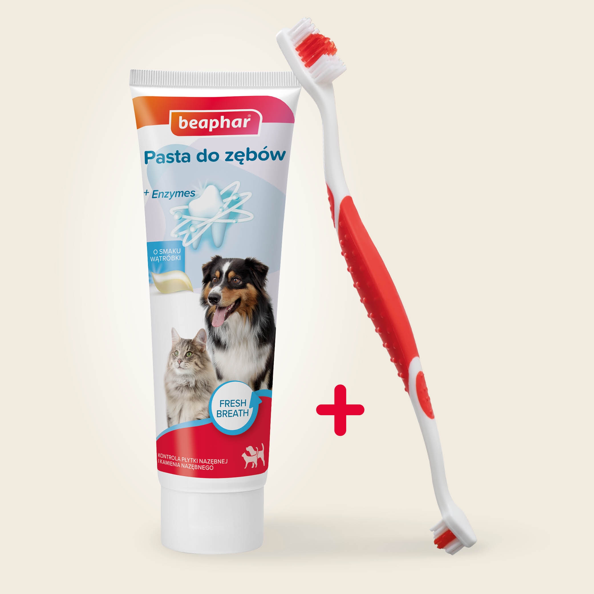 Beaphar zestaw dla psów i kotów: szczoteczka pasta do zębów