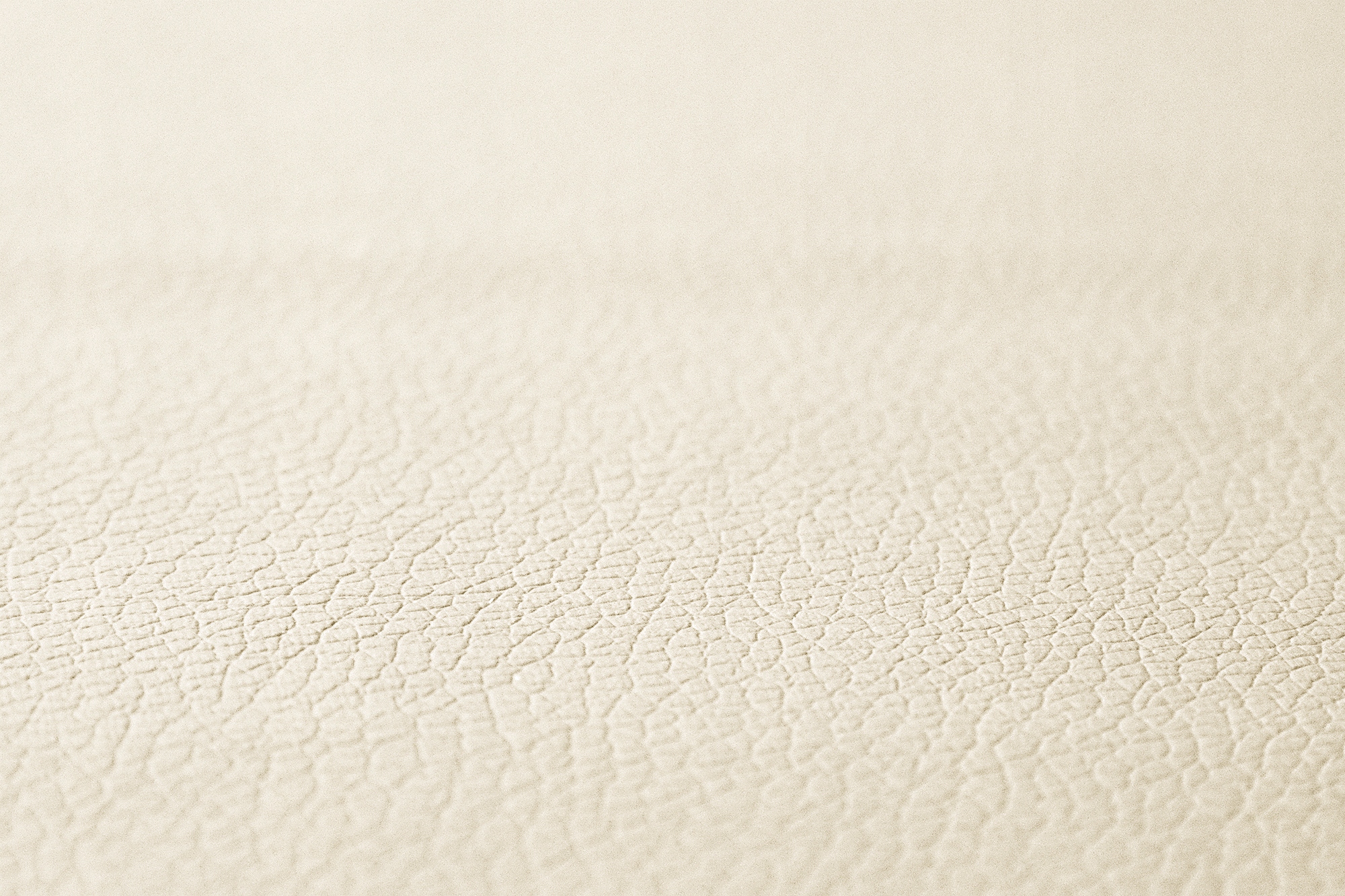 Коврики TIR SCANIA S плоский пол кожа skaj