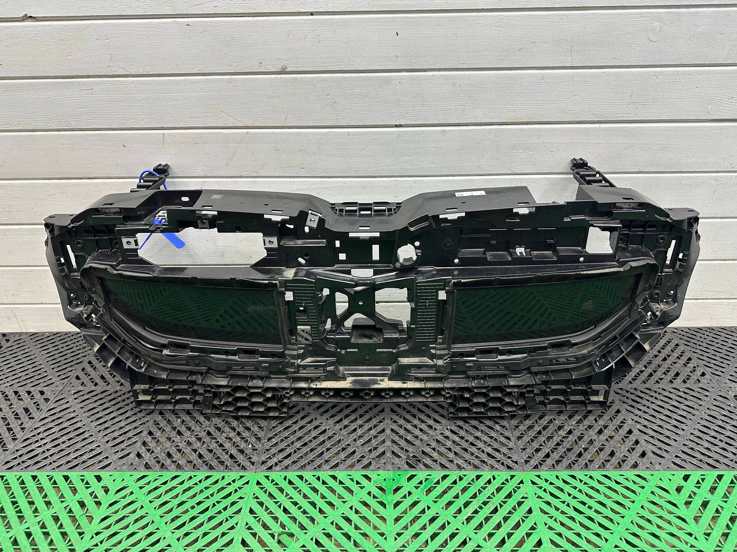 grille radiator (grill) front BMW 5 G60 G61 5A1D079