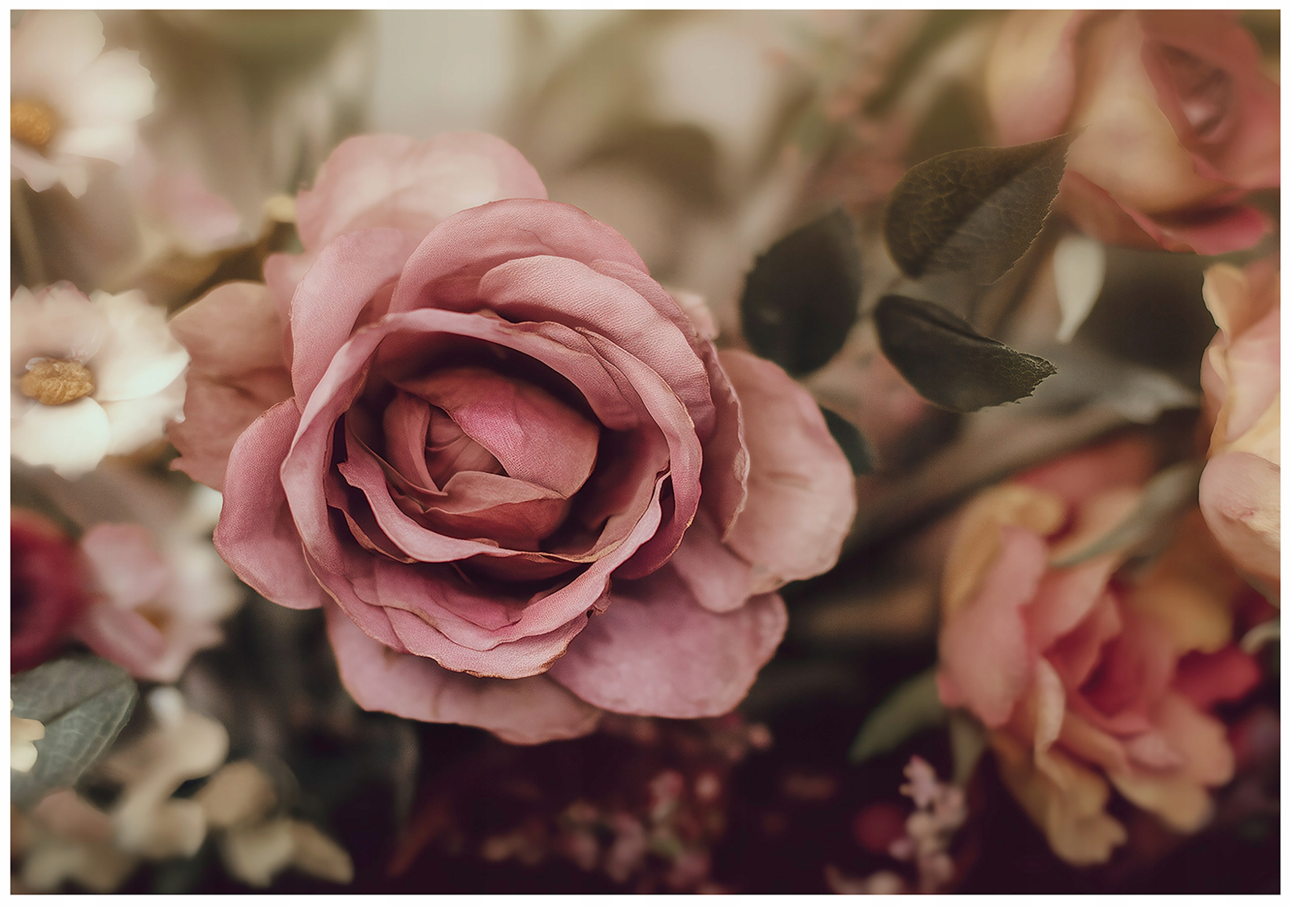 Fototapeta Květiny Růže Příroda Ložnice Obývací Pokoj Tapeta Flizelina 250x175