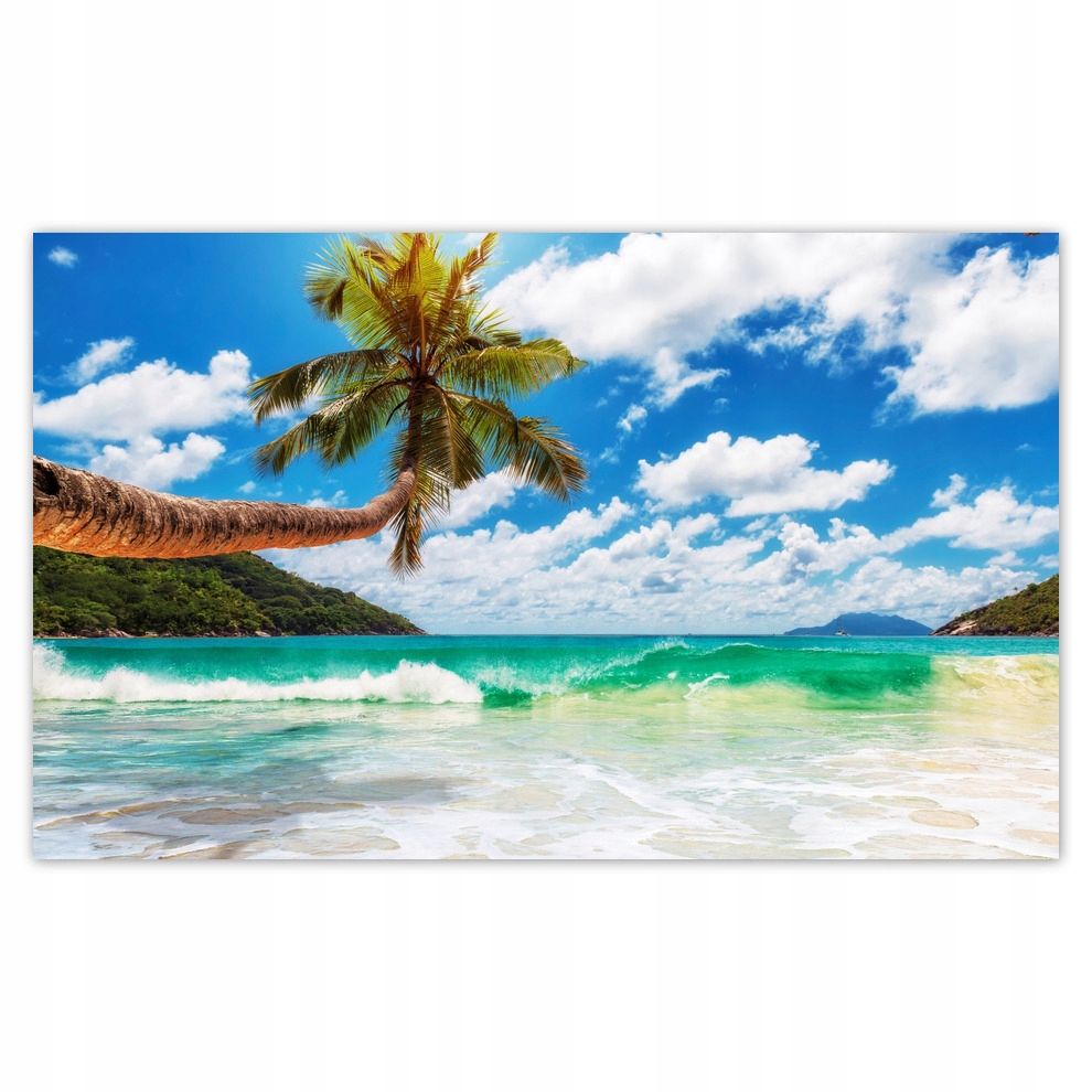 

Fototapety flizelina 520x318 Tropiki Palmy Plaża