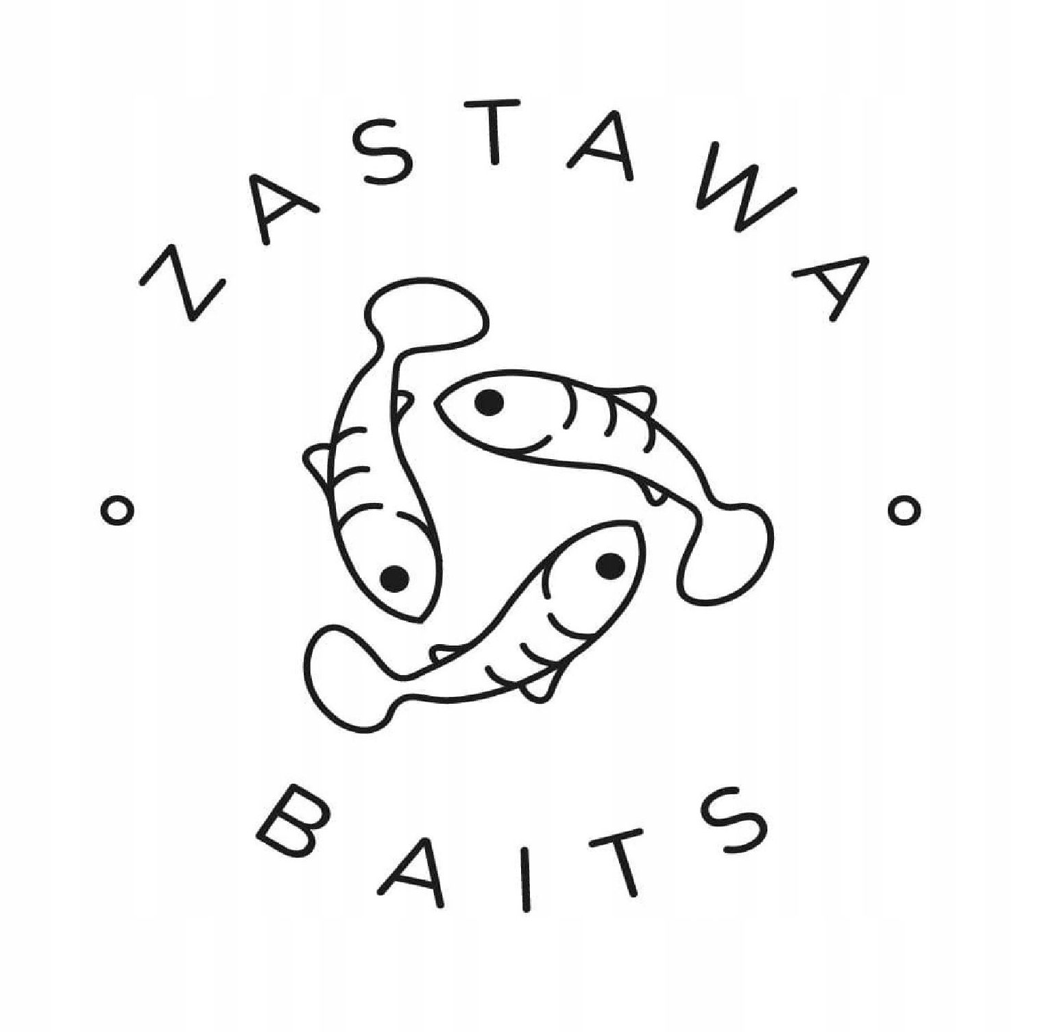 ZASTAWA BAITS - POLSKI HANDMADE - ROACH 8cm 5gr LE Marka inna