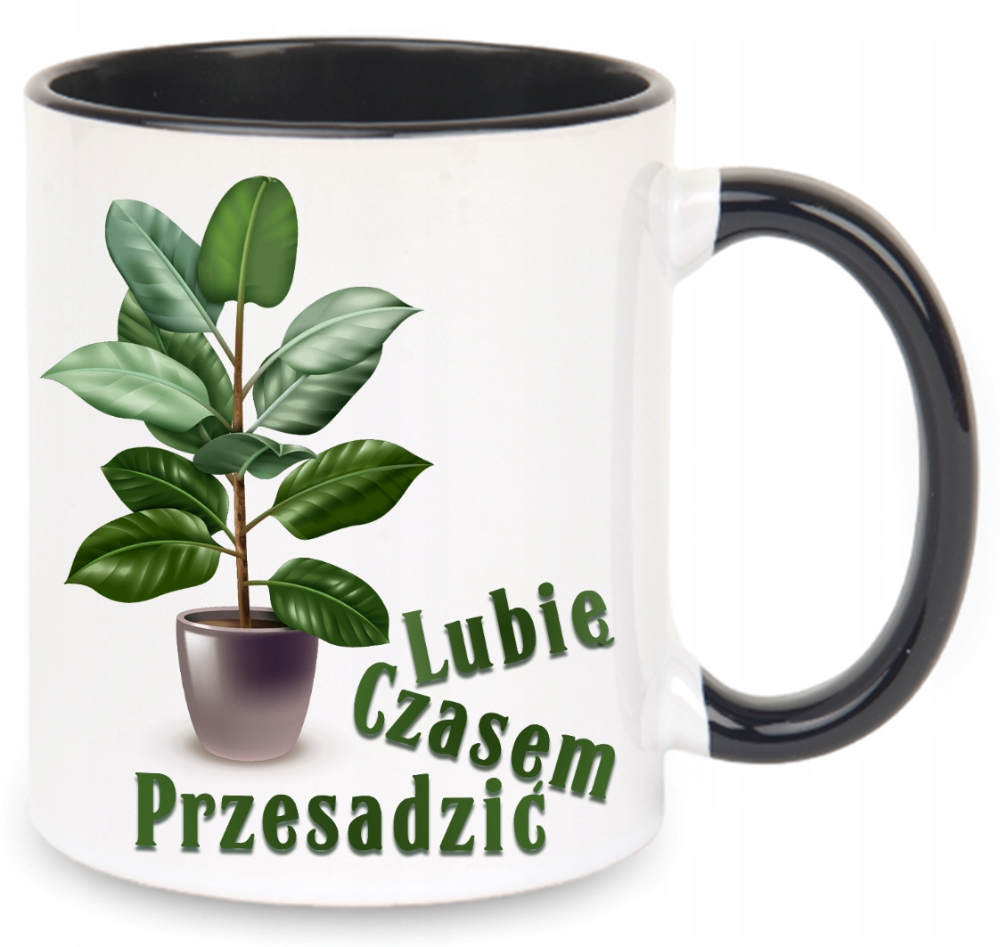 

Kubek Czasem Przesadzam Roślina Rośliny Kwiat