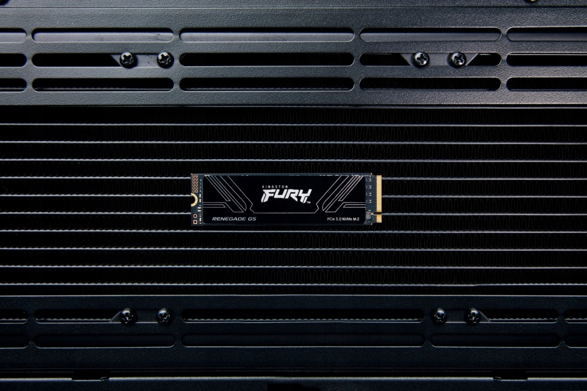 KINGSTON 1024GB FURY Renegade G5 PCIe 5.0 M.2 NVMe SSD — 4