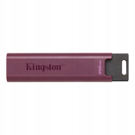 Kingston Usb 3.2 Flash Drive DataTraveler Max 256