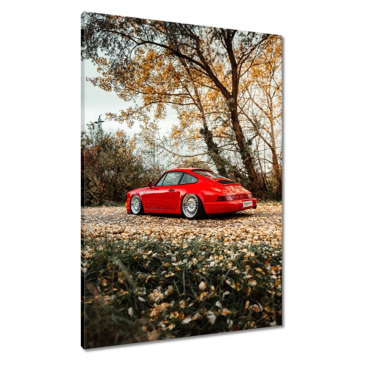 Obrazy 70x100 Červené Porsche Auto