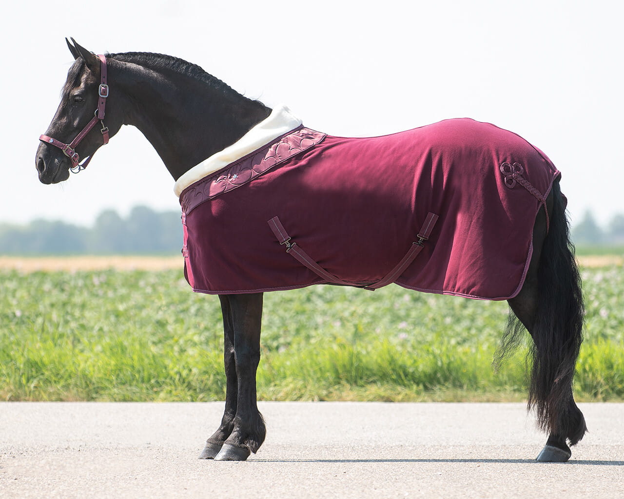 Qhp Derka polarowa Lily Burgundy 155cm