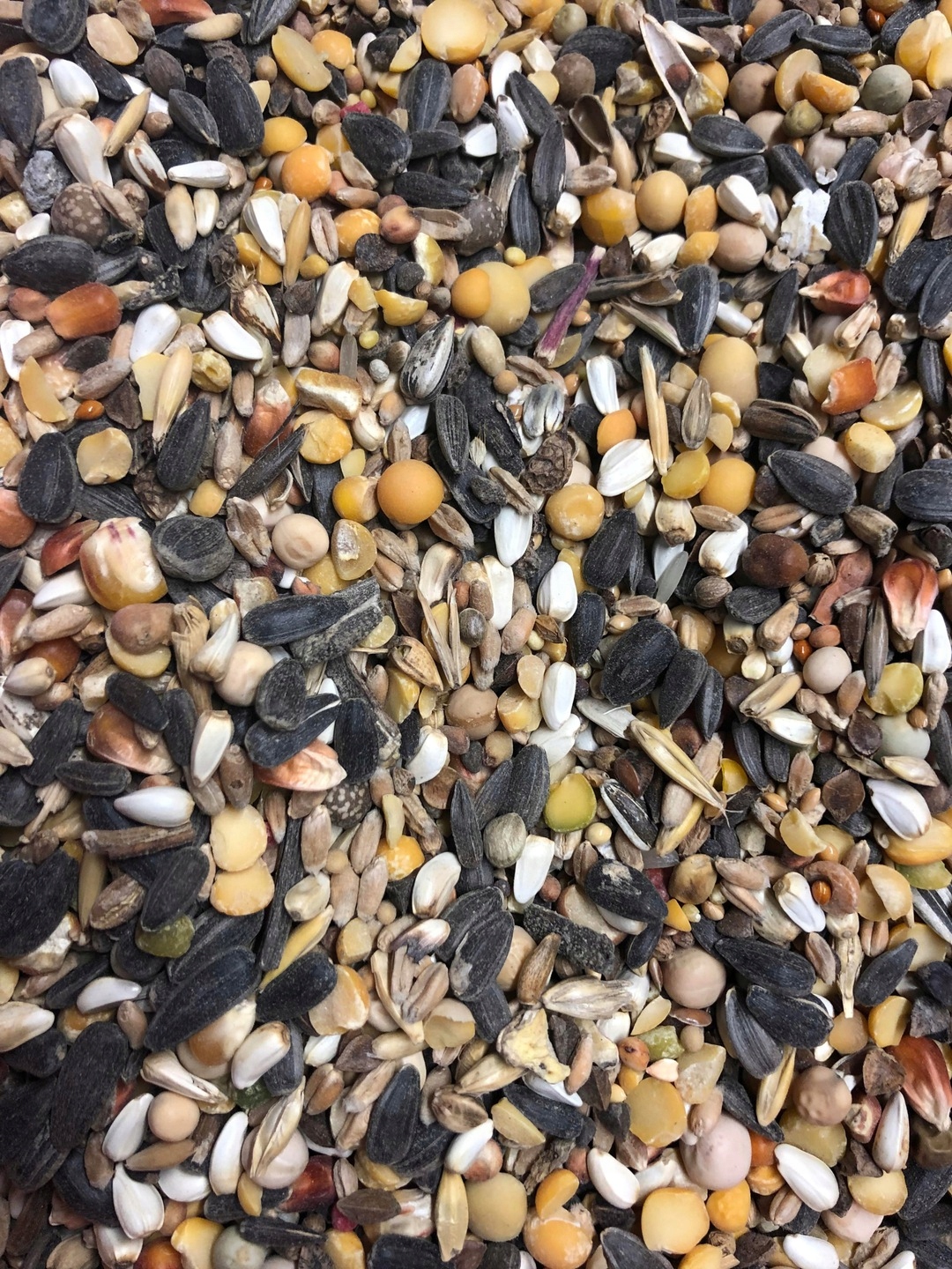 Karma dla dzikich ptaków gołębi OMIX 25kg Kampol Marka Kampol