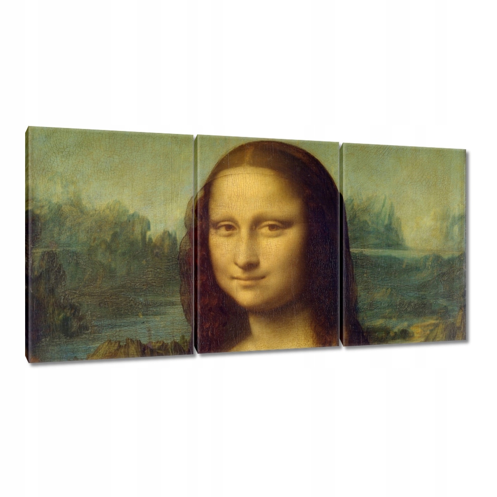 

Obrazy 240x120 Mona Lisa