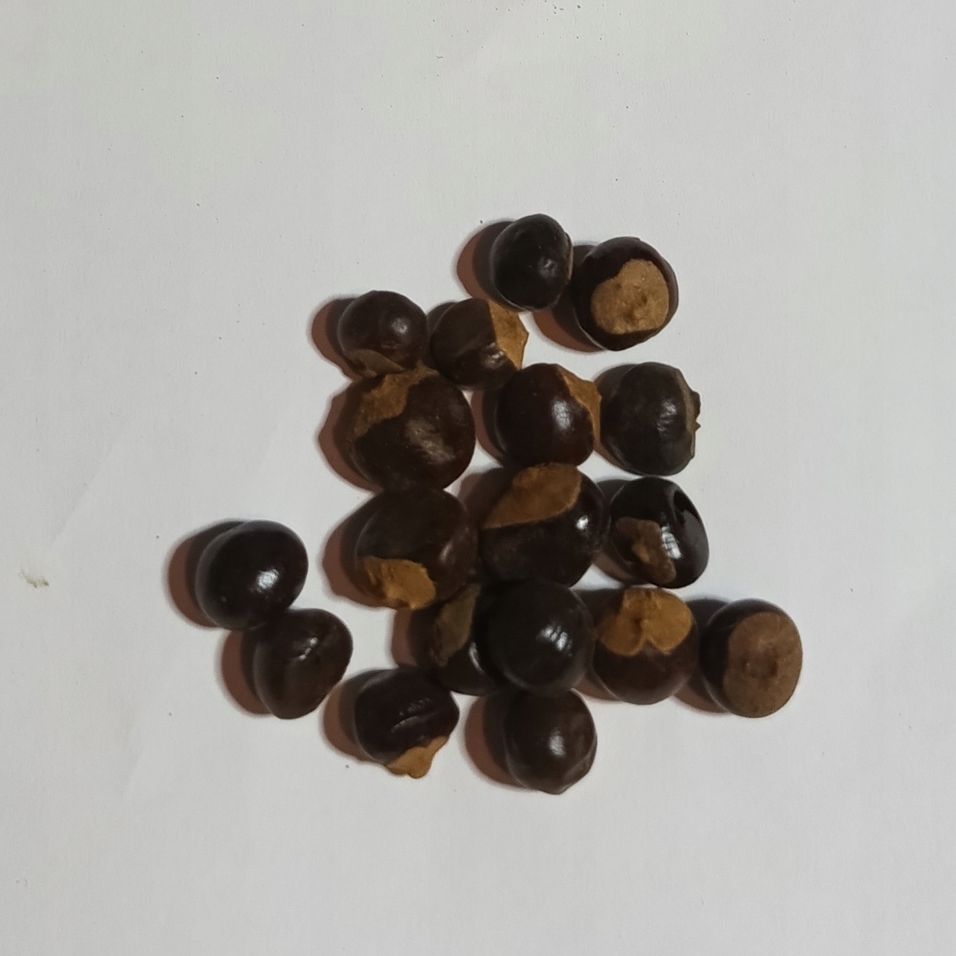 Guarana Celá 1 Kg Rafex