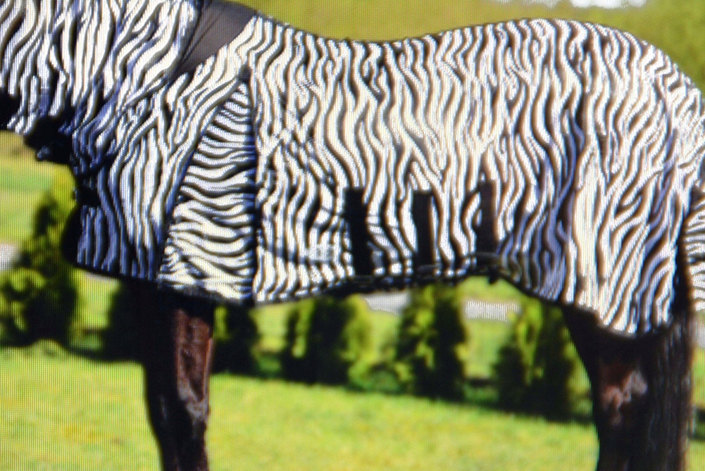 DERKA SIATKOWA Z KAPTUREM PRZECIW OWADOM 145cm Rozmiar 145 cm