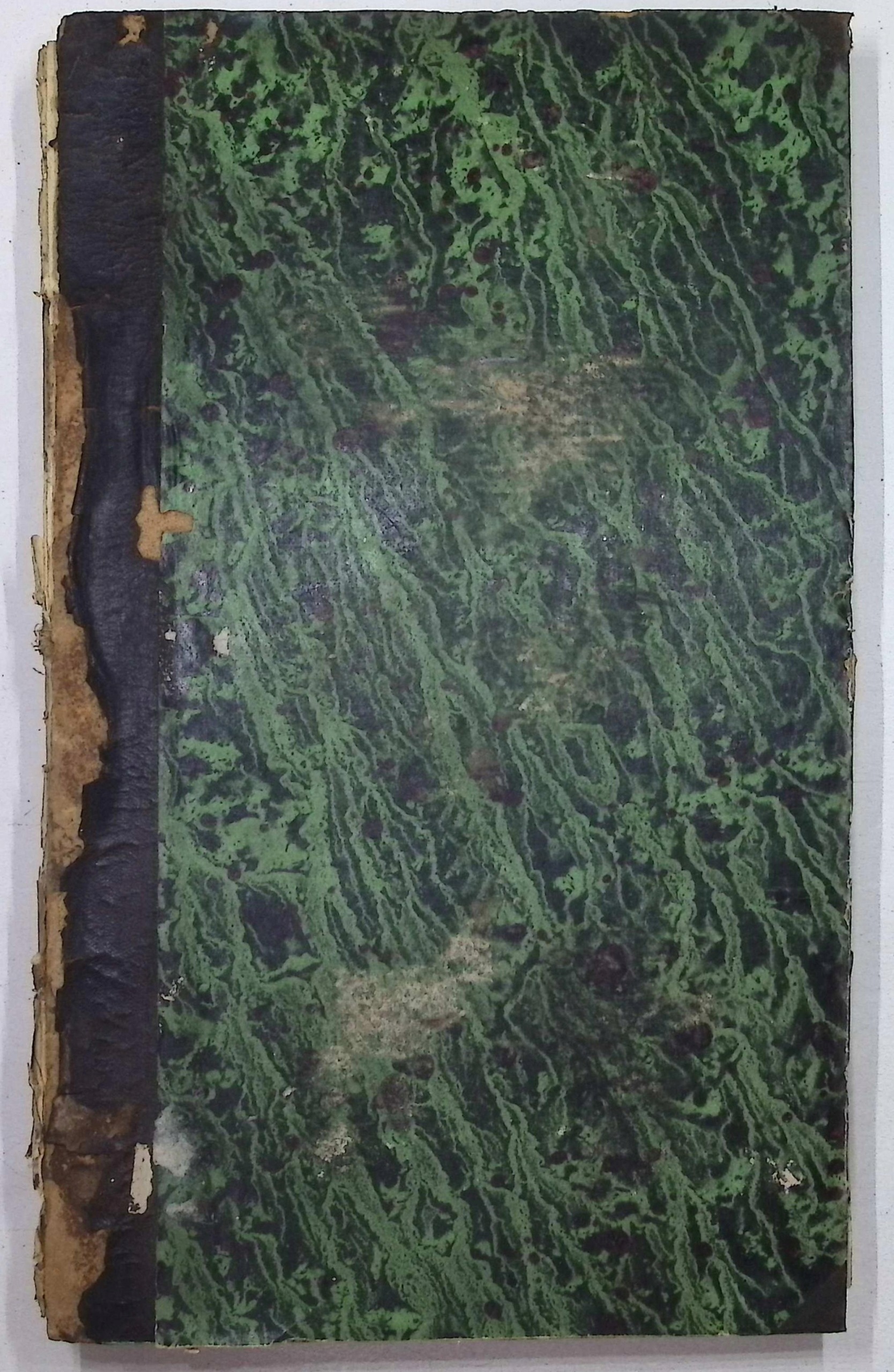 Encyklopedja Kościelna. Tom XV (1883 r.) - X. Michał Nowodworski