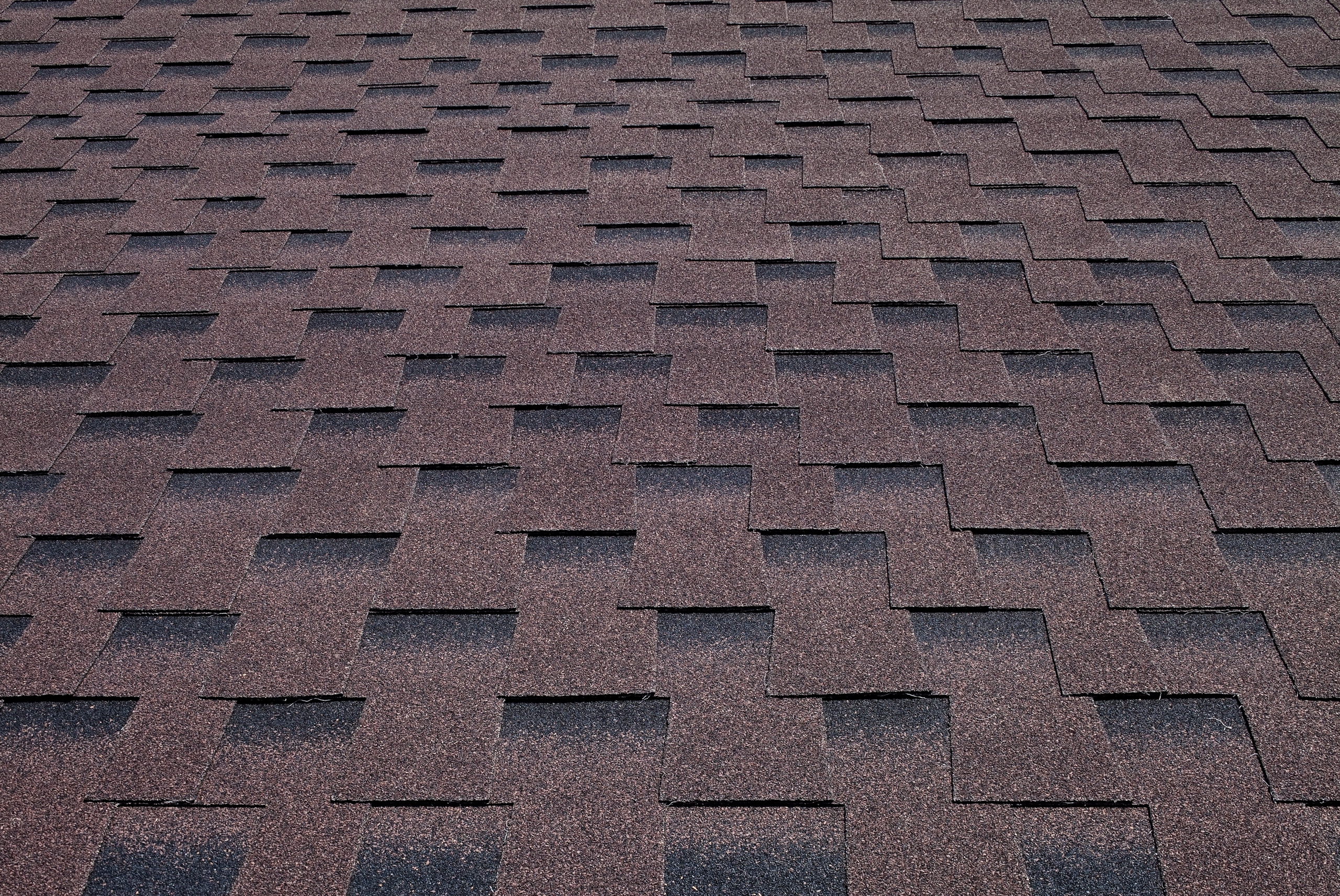 GONT BTM Dragon Flex Brązowy