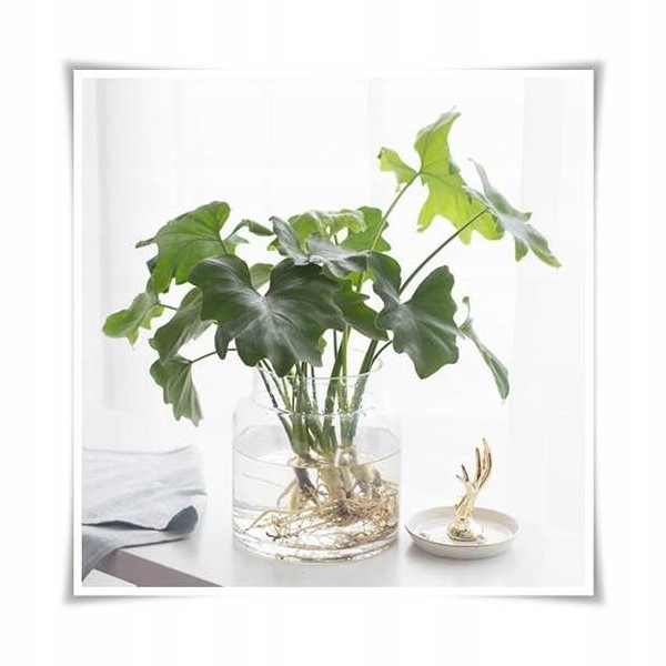 Wazon słój szklany, słoik dekoracyjny 20 cm Materiał szkło