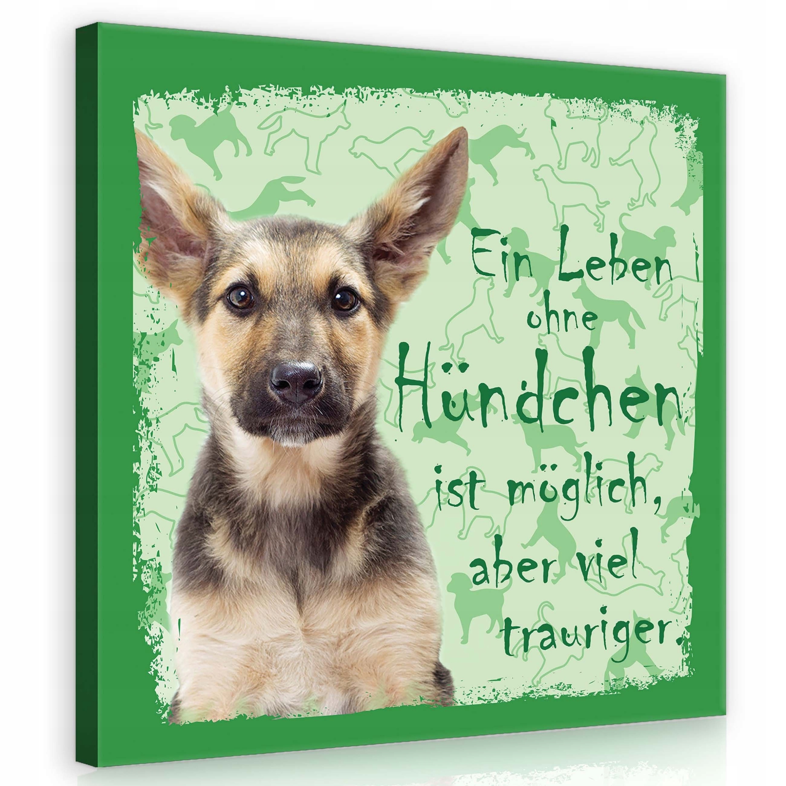 Obraz 80x80 Štěňátko pes domácí zvíře láska život smutný sladký