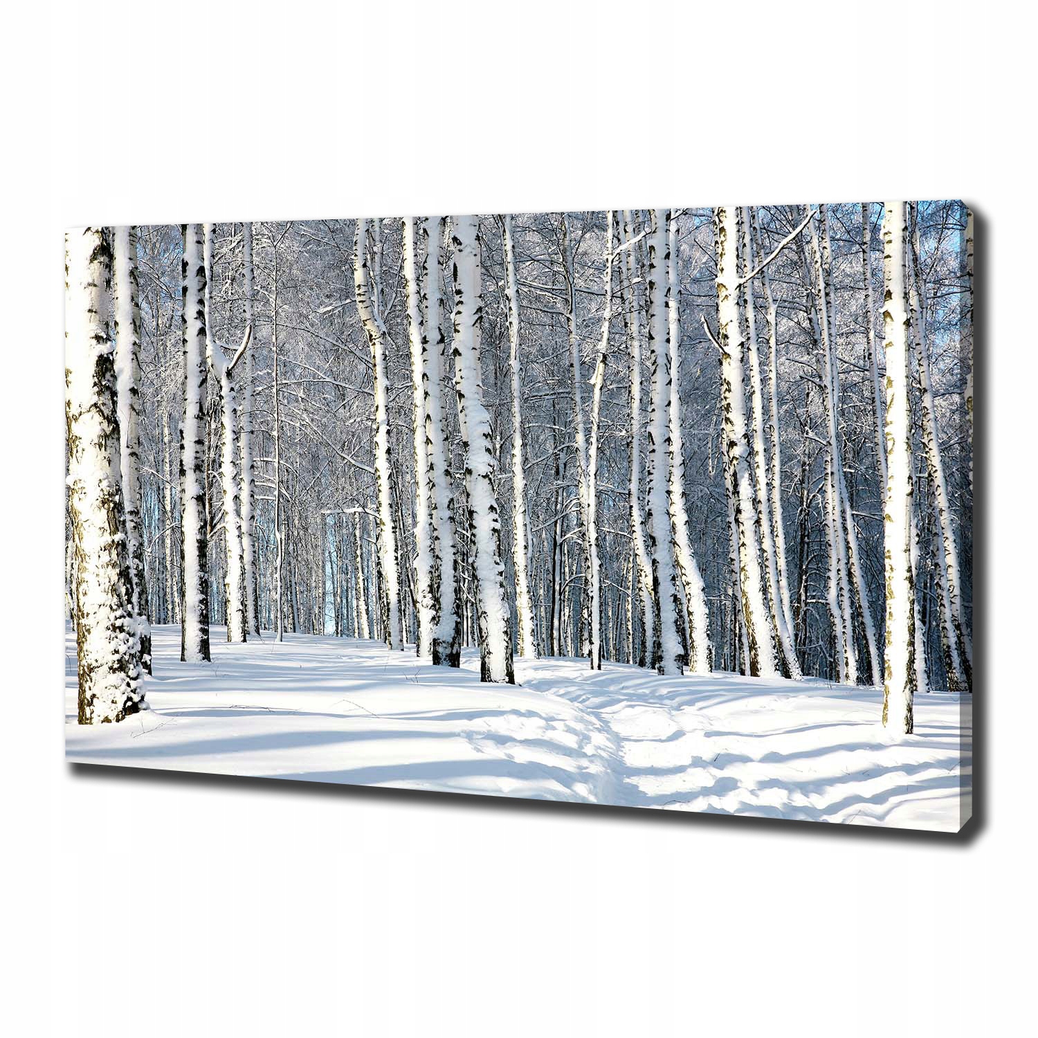 

Foto obraz canvas na ścianę Las zimą 100x70 cm