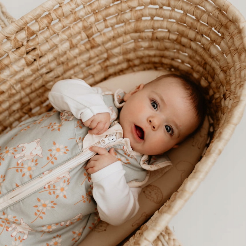 Śpiworek NewBorn Vintage Animals Sky Blue - Sleepee Marka Sleepee