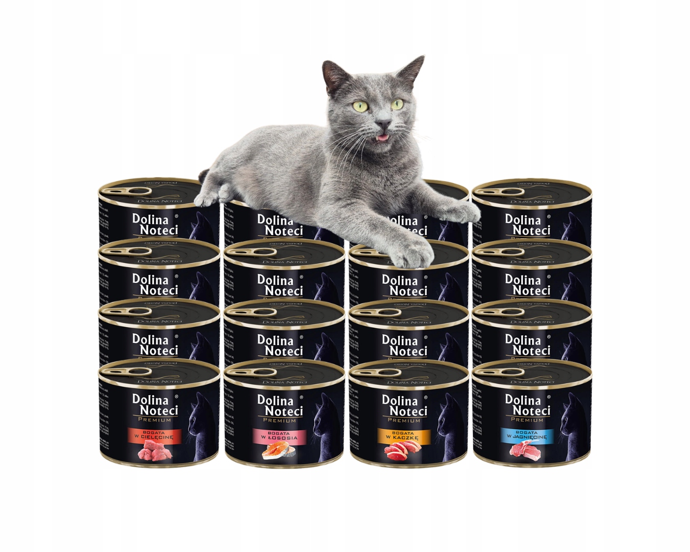 Mokra karma dla kota MIX smaków 16x185g Dolina Noteci Premium