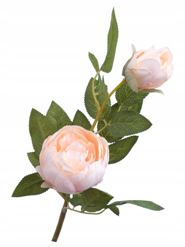 

Piwonie Piękna Długa Gałązka Sztuczne Kwiaty