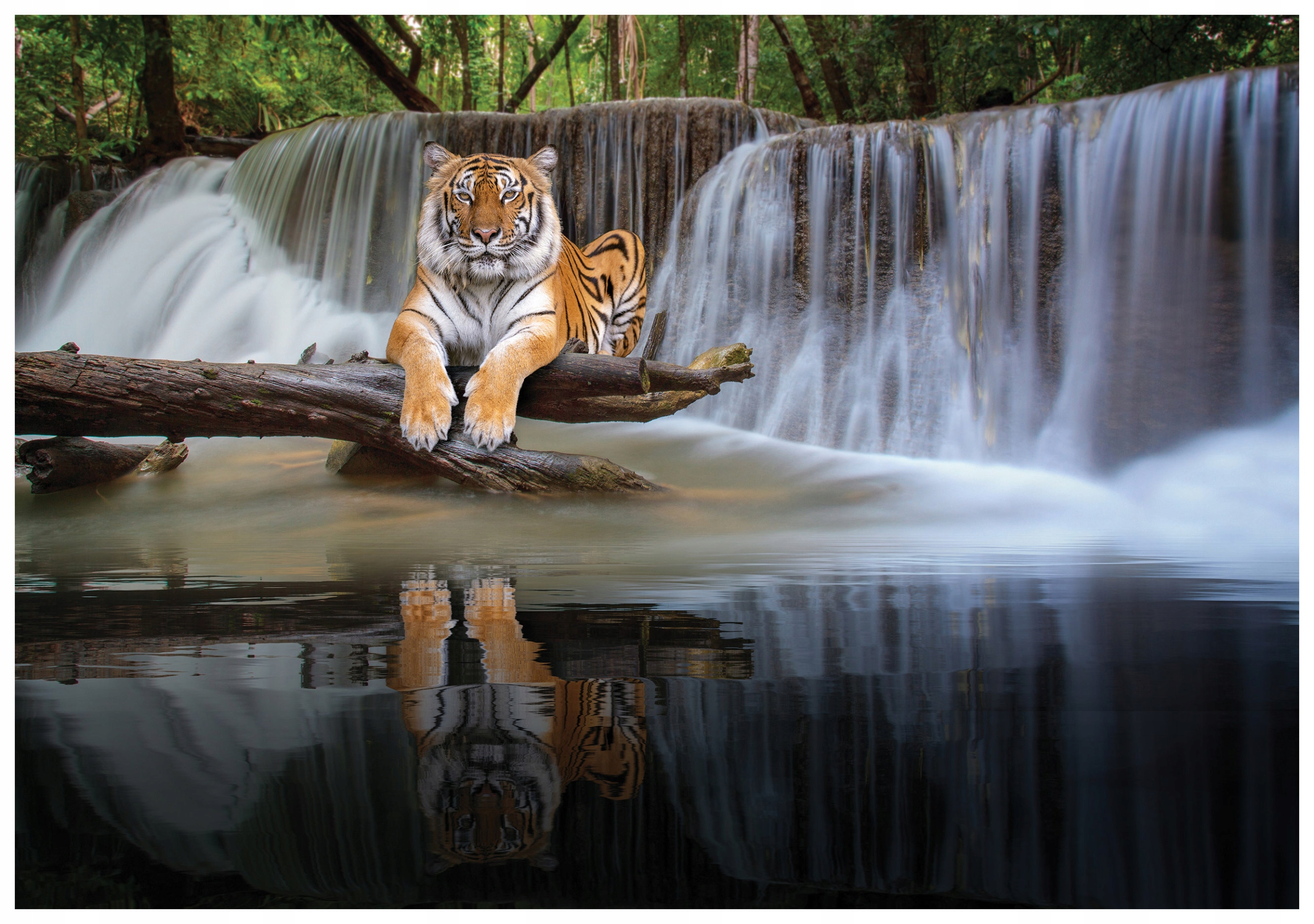 Vliesová fototapeta Tiger a vodopád Natura 368x254 lepidlo