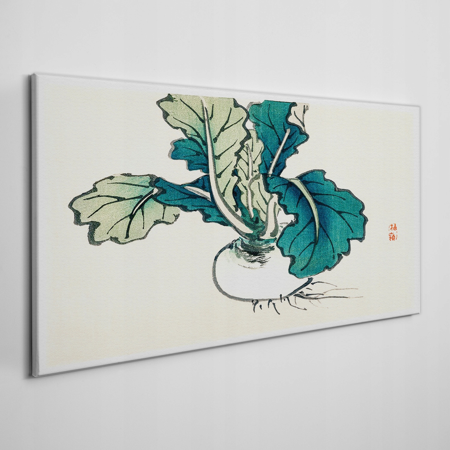 

Obraz ścienny na płótnie Warzywa cebula 100x50 cm