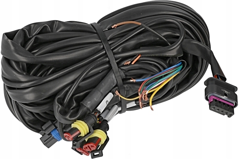 Kit LANDI RENZO EVO 4cylindry do 200KM Car type 4x4 SUV Passenger cars Cargo vans Trucks RVs Buses Undefined