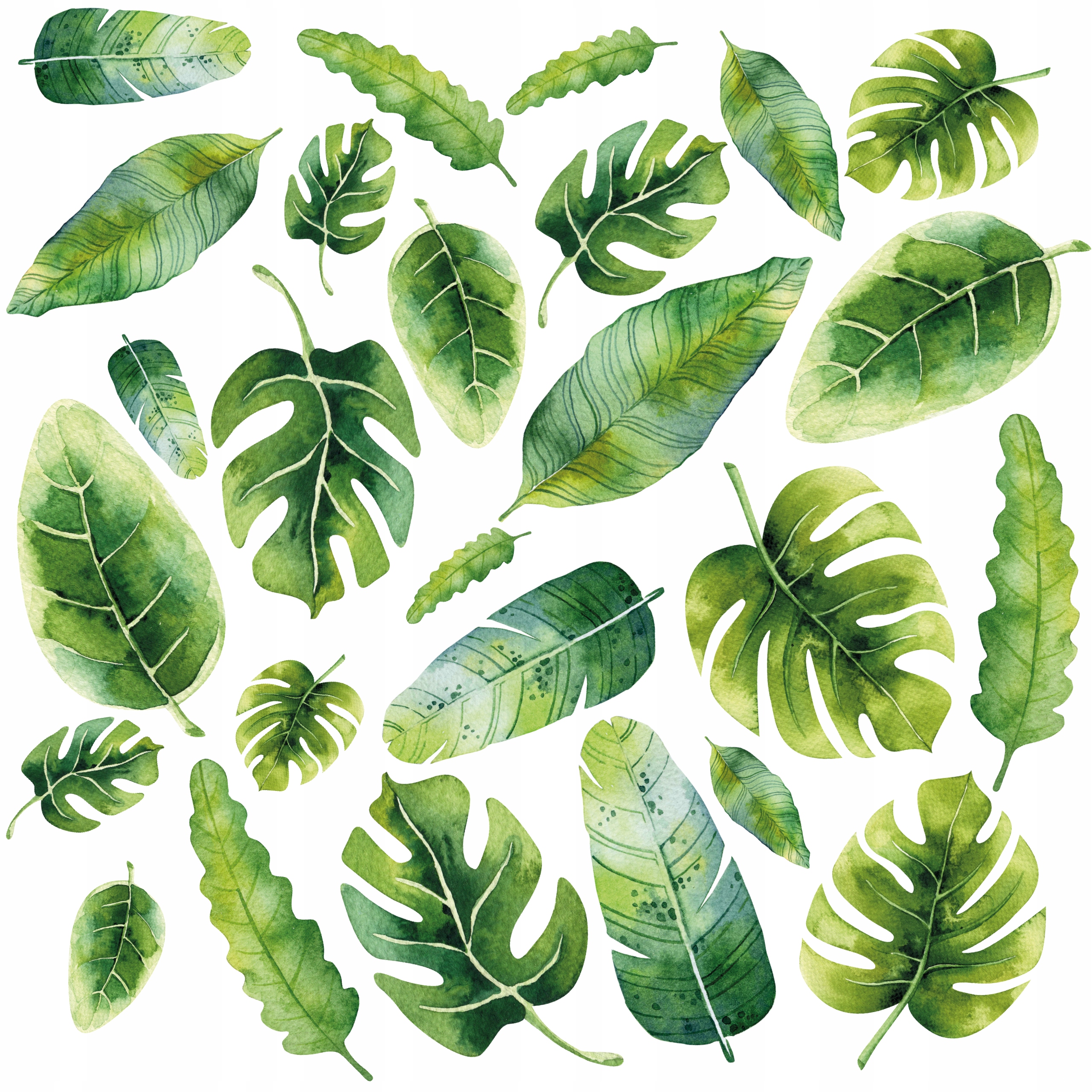 

naklejki na ścianę monstera liście 50x100 cm