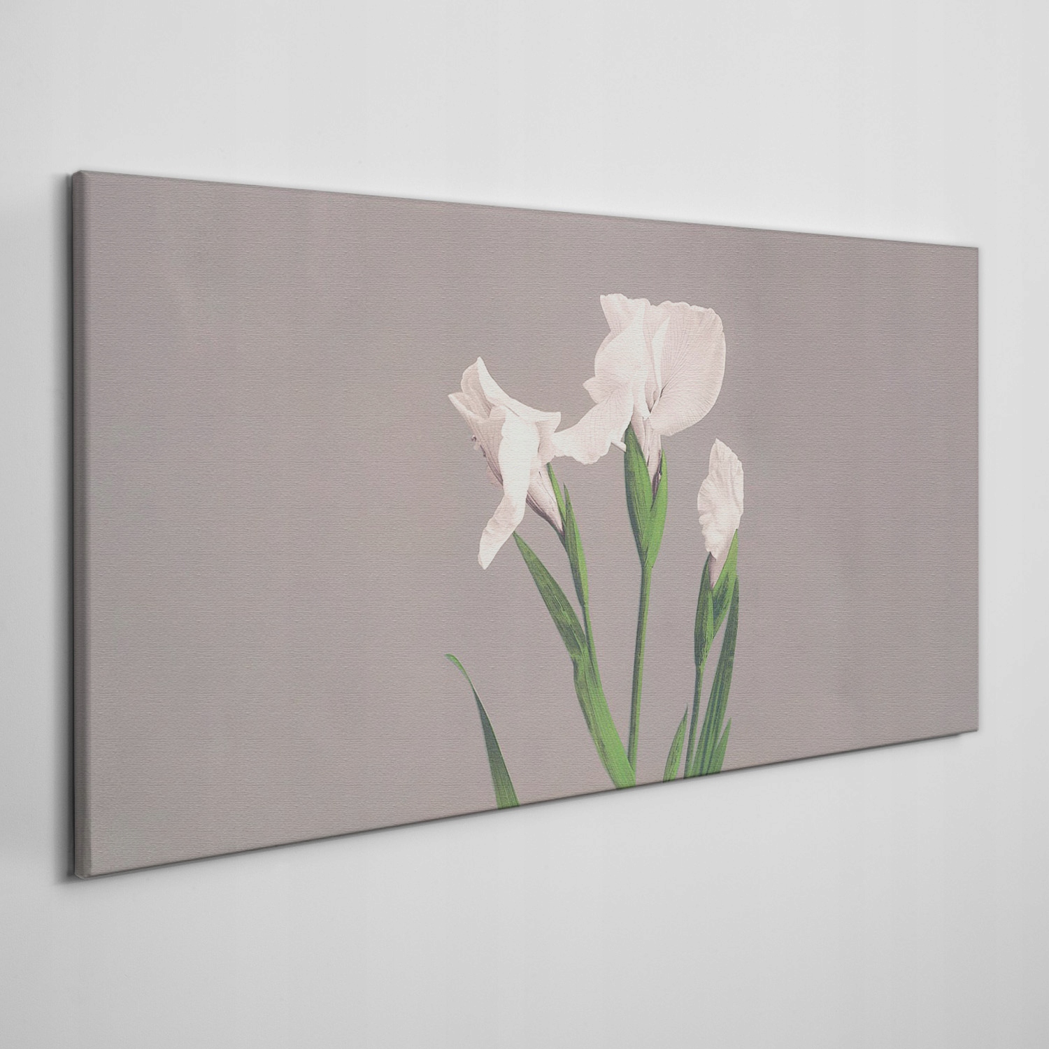 

Obraz ścienny na płótnie Kwiaty rośliny 120x60 cm