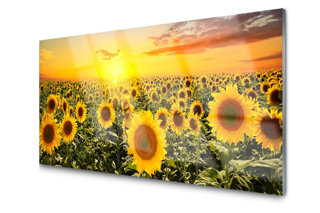 

Panel szklany dekor Słoneczniki 140x70 + Klej