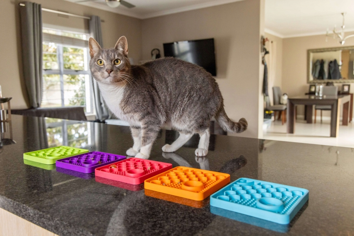 Mata LickiMat Classic Catster turkusowa Marka LickiMat