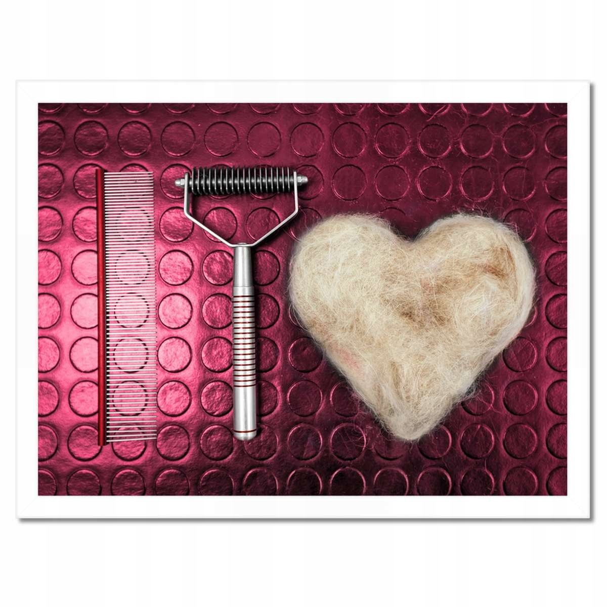 Plakáty v rámu 40x30 Sada péče o psa