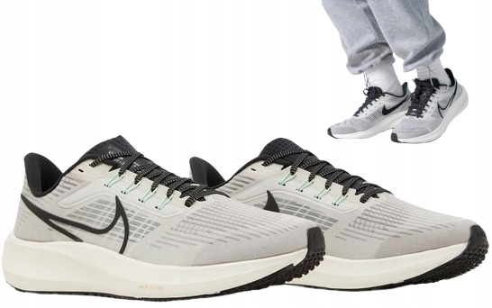 Pánské Sportovní Boty Nike Air Zoom Pegasus 39