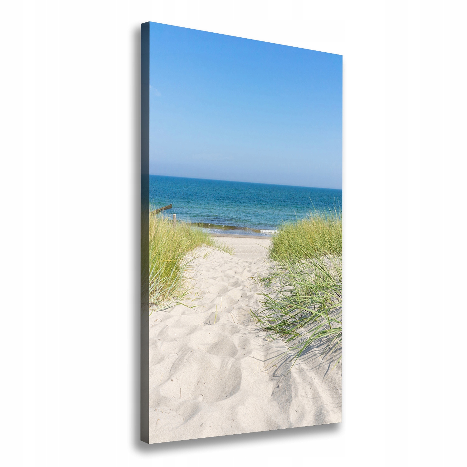 

Foto obraz na płótnie Nadmorskie wydmy 60x120 cm