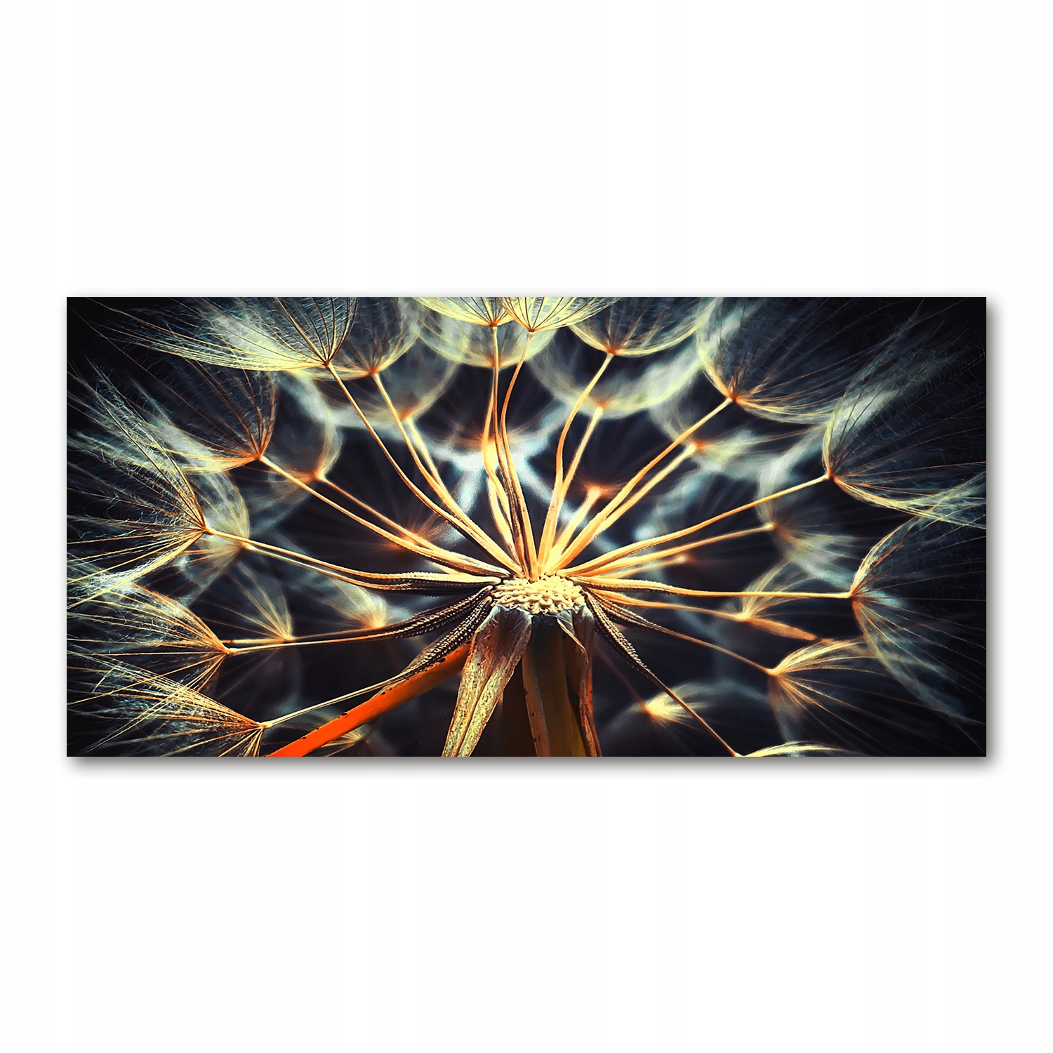

Foto-obraz akrylowy Dmuchawce zdjęcie 140x70 cm