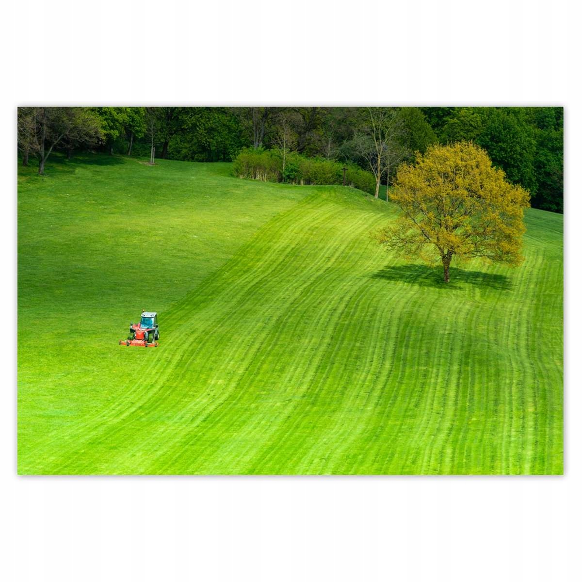 Plakáty 200x135 Golfové hřiště