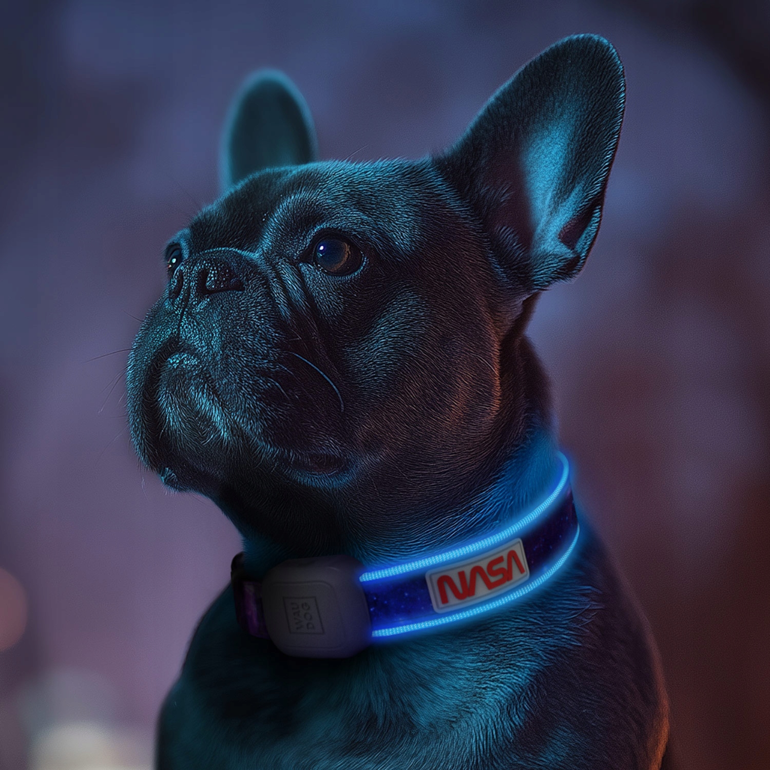 Obojek pro psa s Led podsvícením Waudog, NASA21, velikost M-L