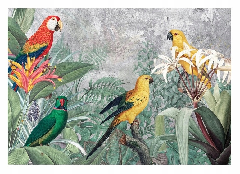 3D fototapeta Papagáje Optická Listy Betón 312x219