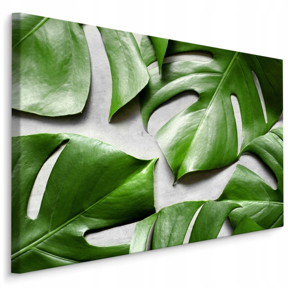

Obraz Ścienny Liście Tropikalne Monstera 3D 120x80