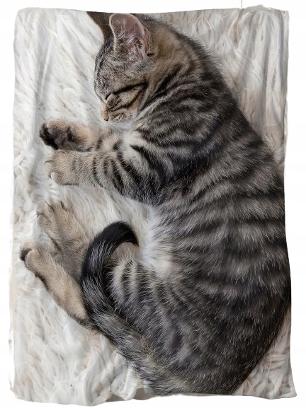 Spící Deka Obrovská Kočka 3D Efekt Legrační Deka Kočka Kotě Velká Deka 150x200