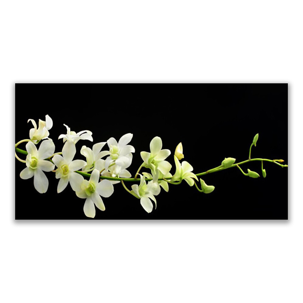 

Fotoobraz z nadrukiem 120x60 Kwiaty Roślina Natura