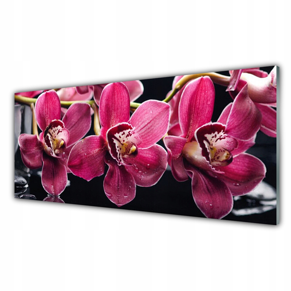 

Obraz akrylowy 125x50 Kwiaty Orchidea Pędy Natura