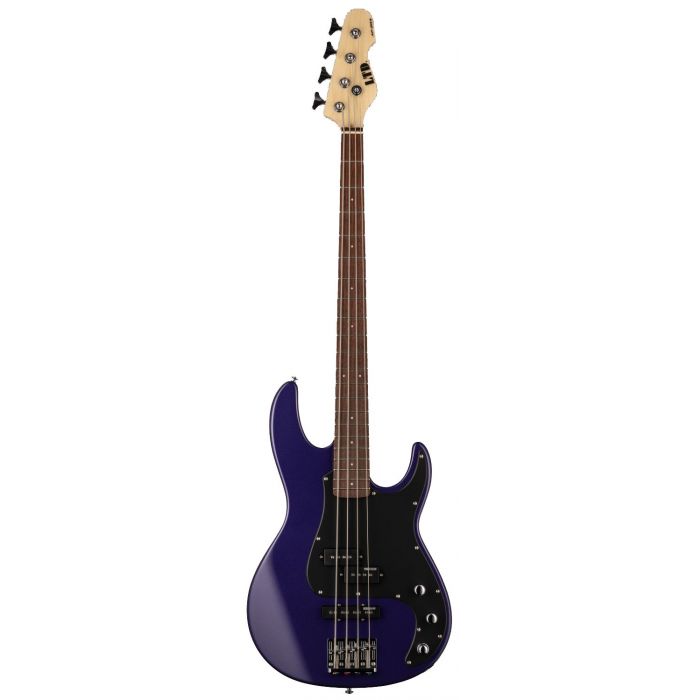 LTD AP 204 DMP Dark Metal Purple Kod producenta AP 204 DMP Dark Metal Purple