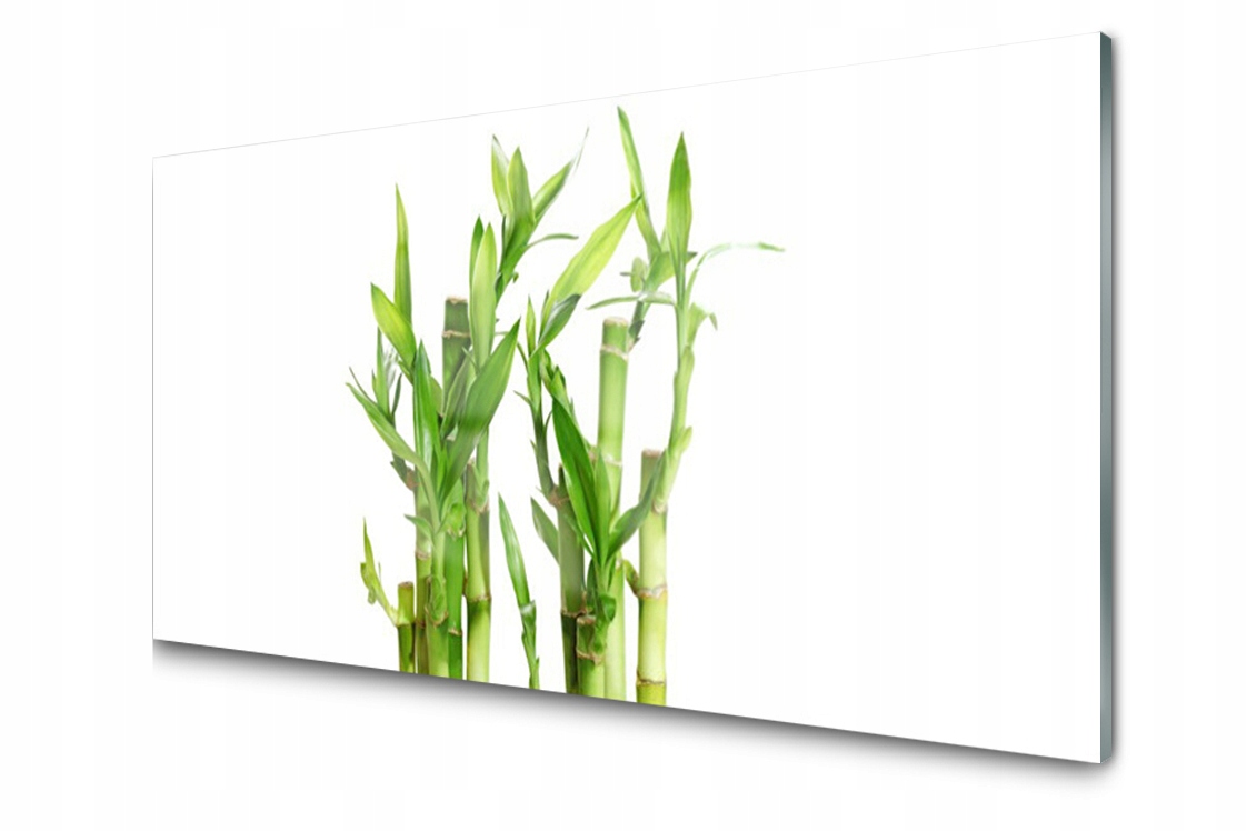 

Panel szklany dekor Bambus Roślina 120x60 + Klej
